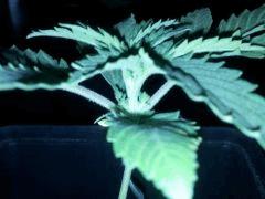 IMG 20120828 202534