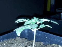 IMG 20120828 204641