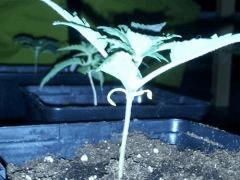 IMG 20120828 205216