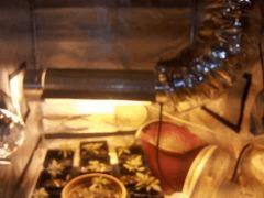 IMG 20120827 211153