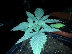 IMG 20120828 204612