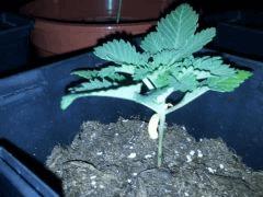 IMG 20120828 202519