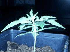 IMG 20120828 205300