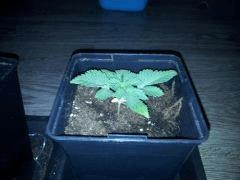 IMG 20120828 204547