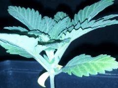 IMG 20120828 202415