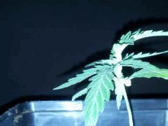 IMG 20120828 204731