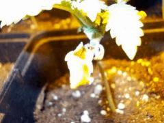 DSCN0122