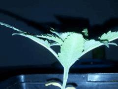 IMG 20120828 204752