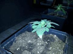 IMG 20120828 204607
