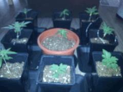 IMG 20120828 202146