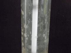 DSCN0200