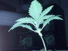 IMG 20120828 204651