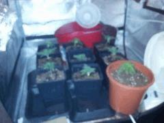 IMG 20120828 210623