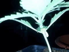 IMG 20120828 204622