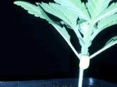 IMG 20120828 204743