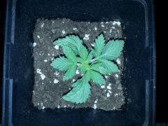 IMG 20120828 202203