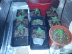 IMG 20120828 210644