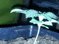 IMG 20120828 205243