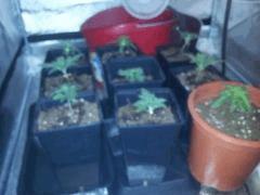 IMG 20120828 210627