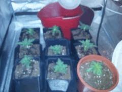 IMG 20120828 210647