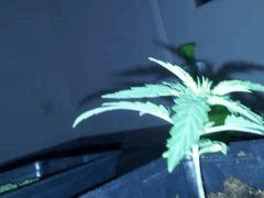 IMG 20120828 204700