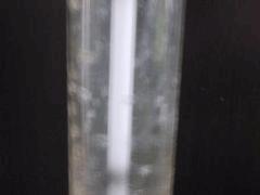 DSCN0199