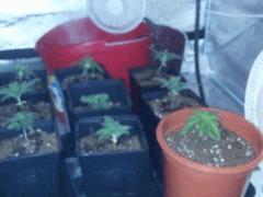 IMG 20120828 210635