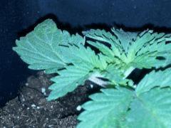 IMG 20120828 205304