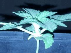 IMG 20120828 202435