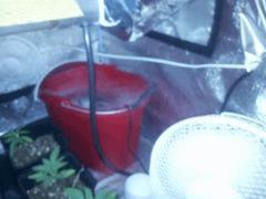 IMG 20120827 211118