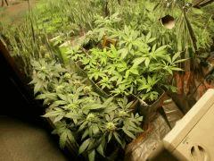 Photo 011