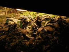 Photo 104