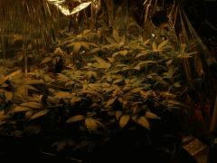 Photo 002