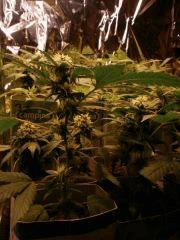 Photo 024