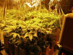 Photo 012