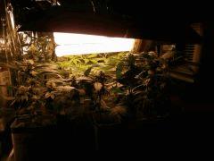 Photo 107