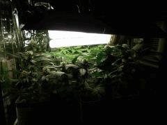 Photo 106