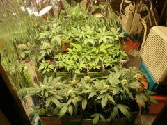 Photo 006
