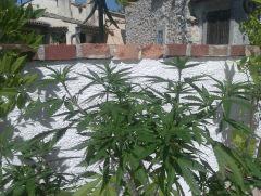 IMAG0259