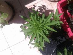 IMAG0258