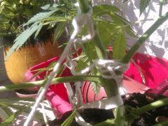 IMAG0260