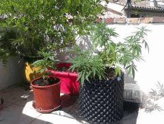 IMAG0248