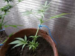 IMG7 0551