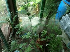IMG3 0573