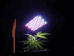CRO +01 06 02 2009 23 20 00