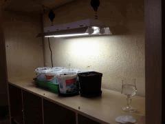 IMG 0591