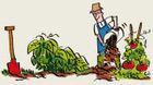dessin potager1