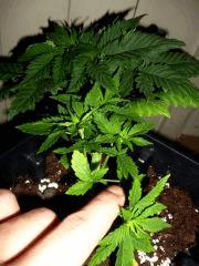 P1020807