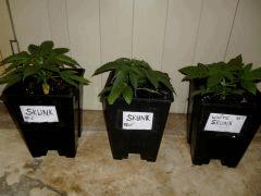 P1020615