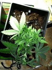 P1020702